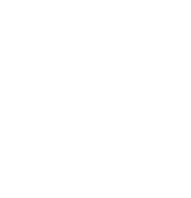 FIRsT Logo